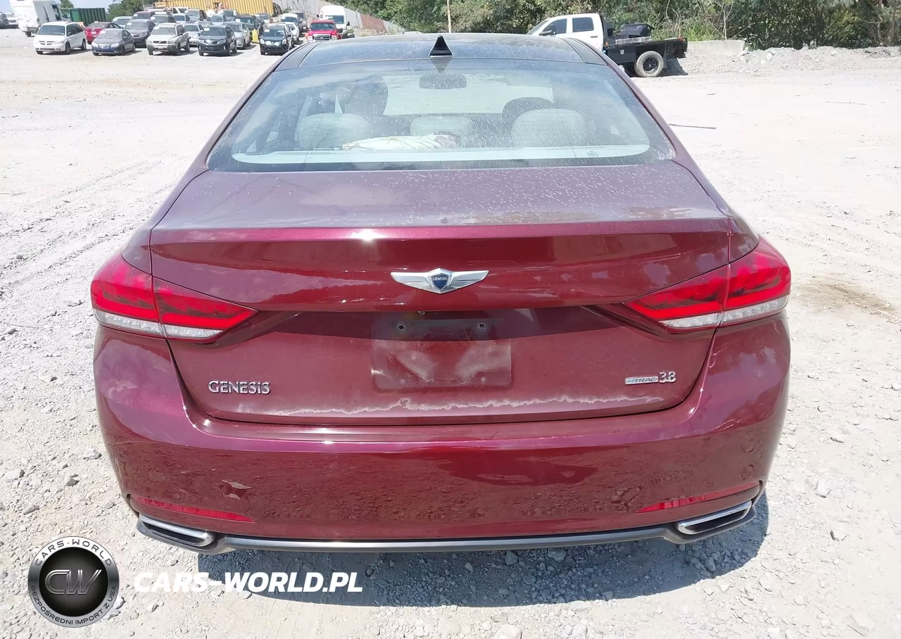 2015 Hyundai Genesis 3.8L VIN:KMHGN4JE6FU076045 - 16