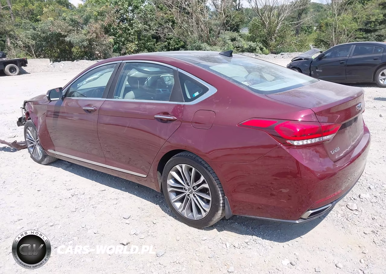 2015 Hyundai Genesis 3.8L VIN:KMHGN4JE6FU076045 - 3
