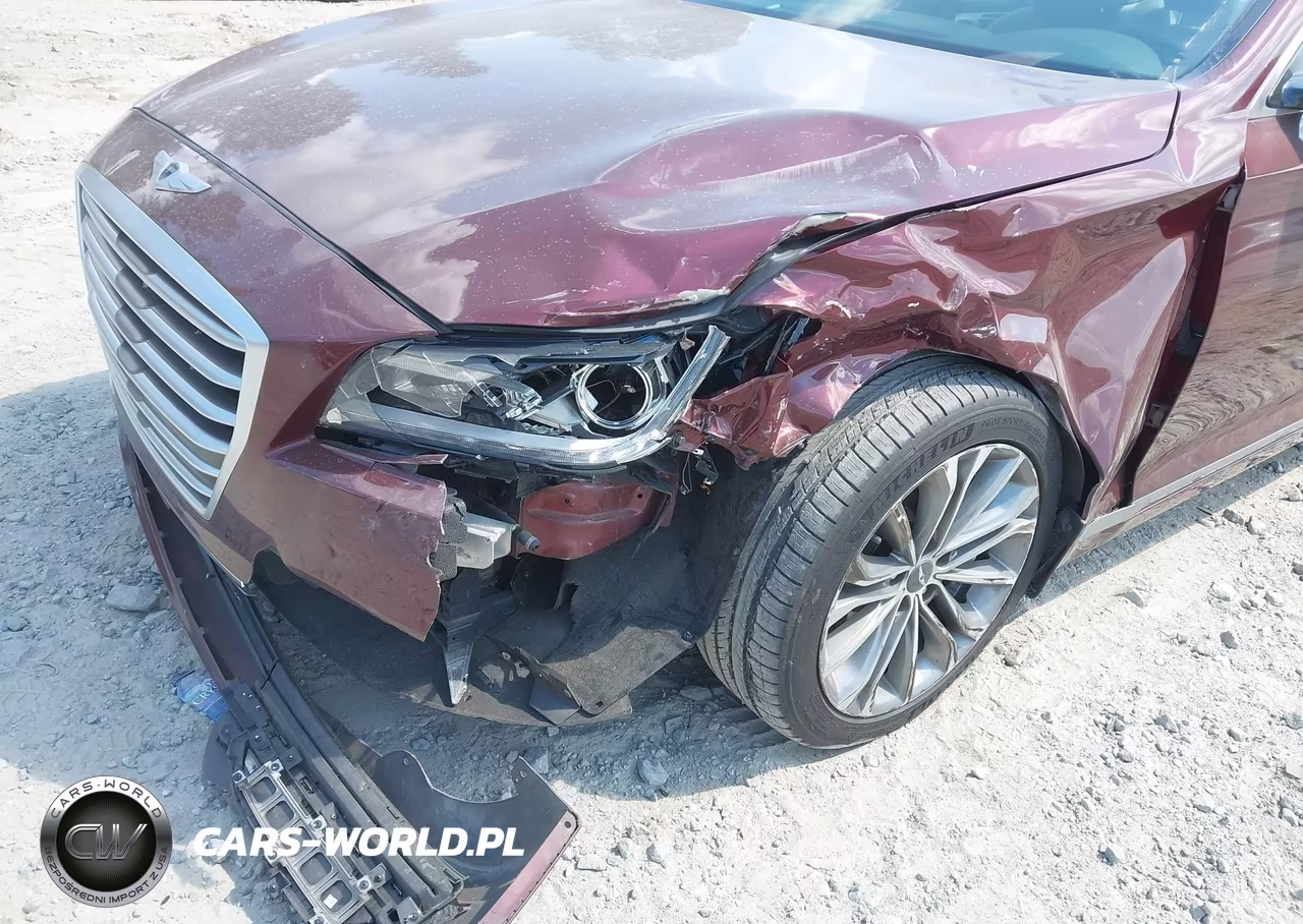 2015 Hyundai Genesis 3.8L VIN:KMHGN4JE6FU076045 - 6