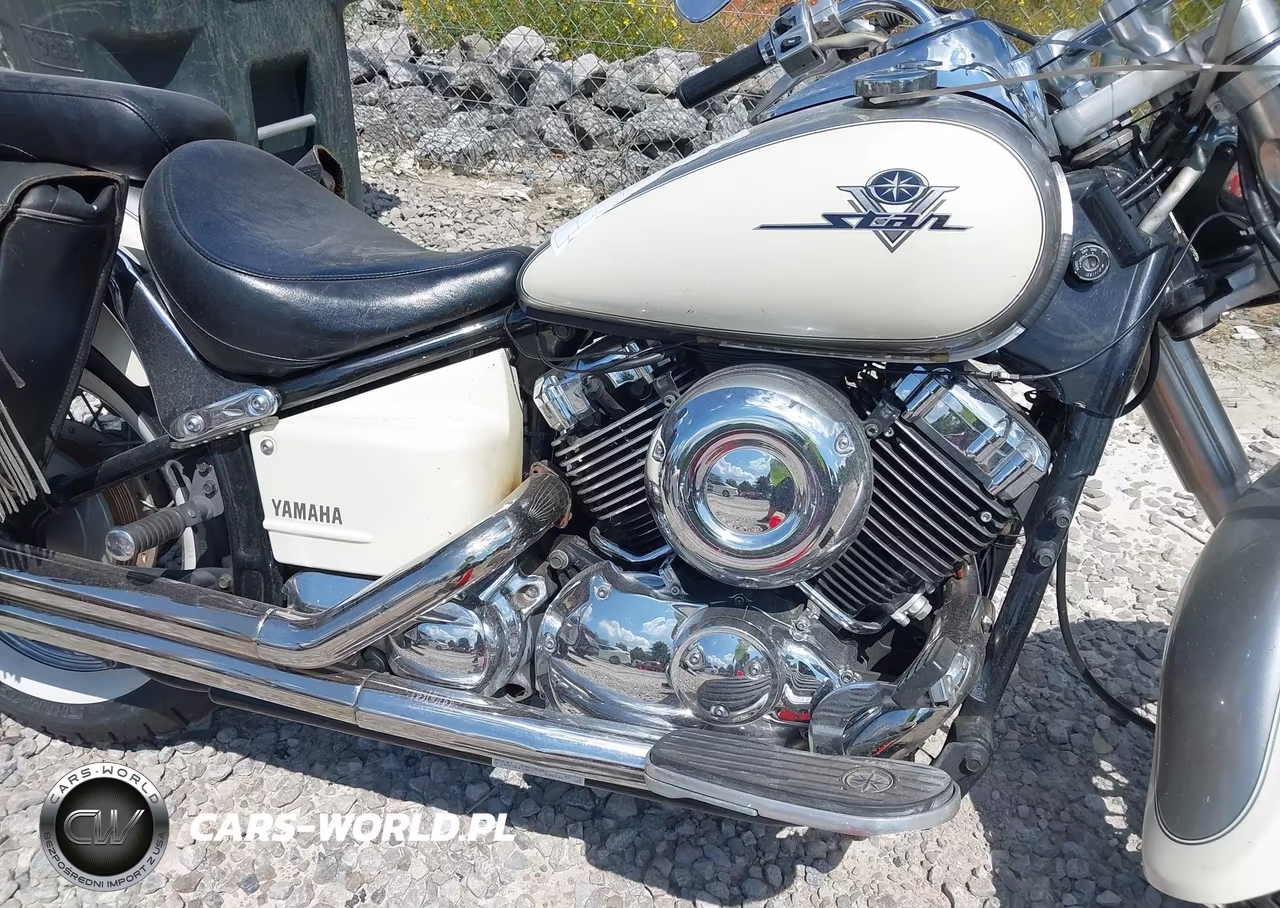 2003 Yamaha Xvs65 A VIN:JYAVM01E43A056201 - 8