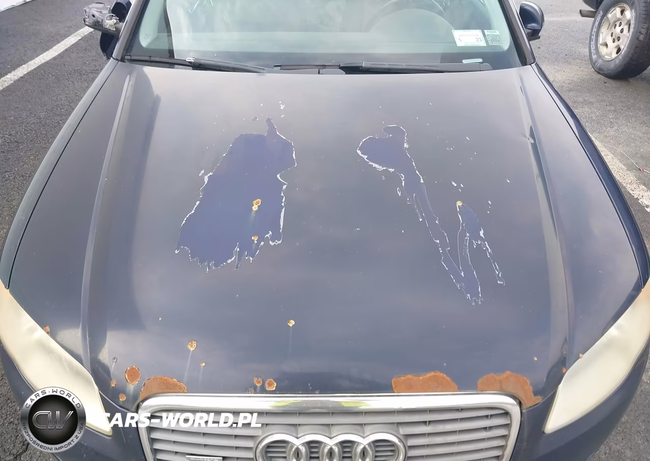 2006 Audi A4 2.0T VIN:WAUDF78E86A253365 - 14