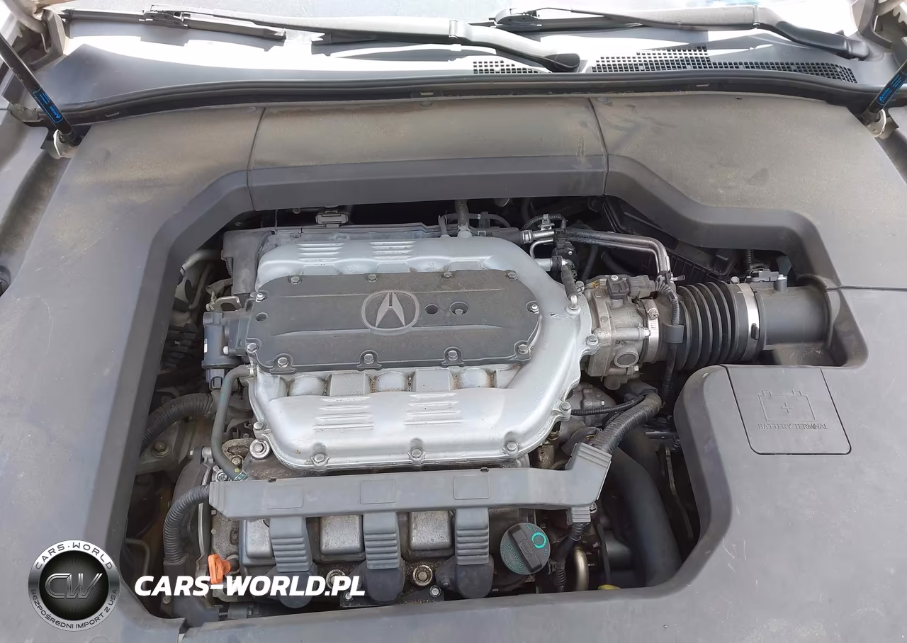 2009 Acura Tl 3.5 VIN:19UUA862X9A024806 - 10