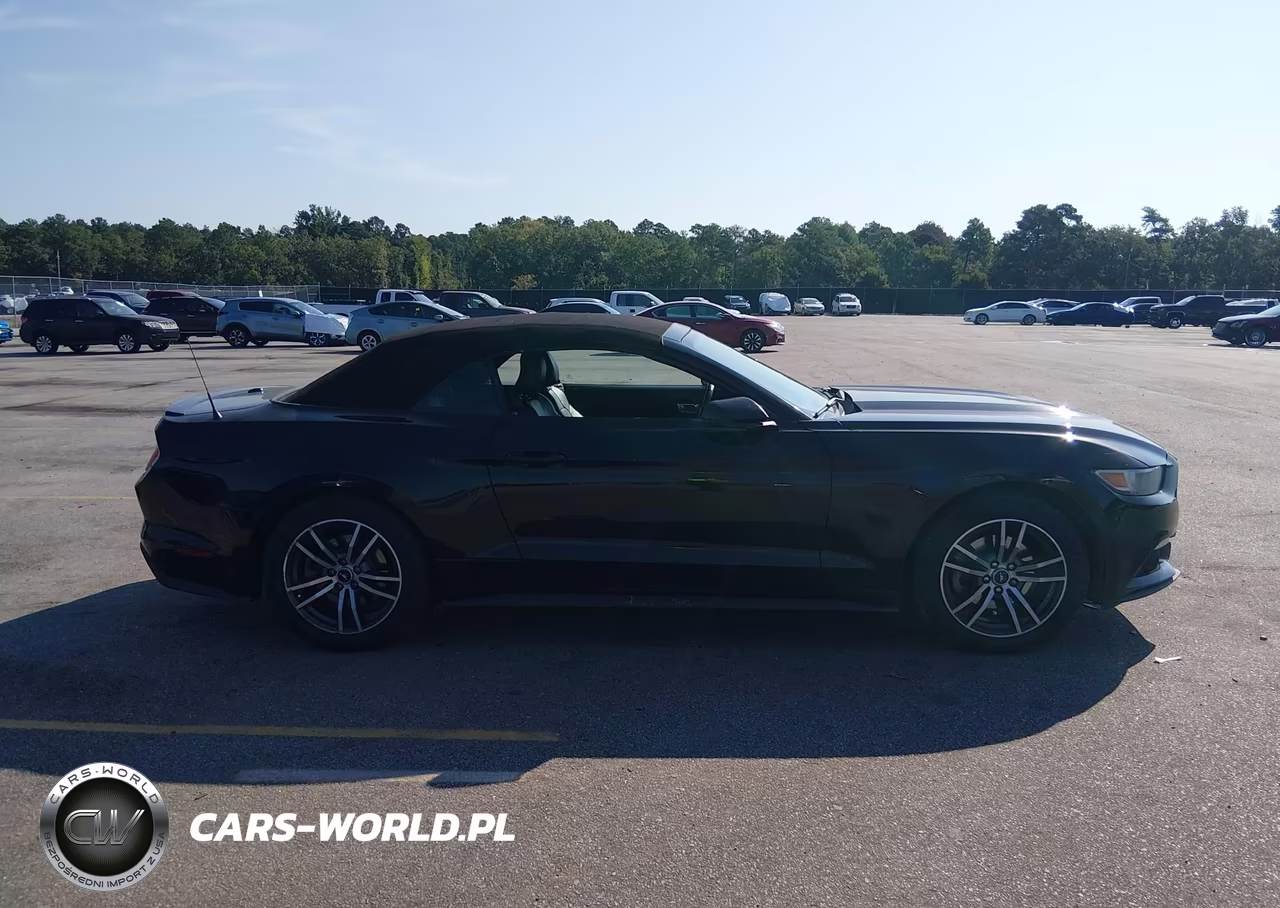 2016 Ford Mustang Ecoboost Premium VIN:1FATP8UH7G5275603 - 13