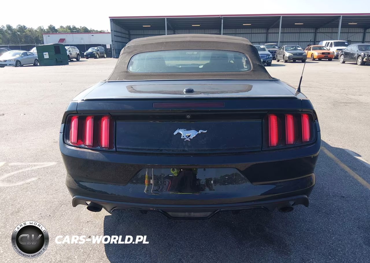 2016 Ford Mustang Ecoboost Premium VIN:1FATP8UH7G5275603 - 16