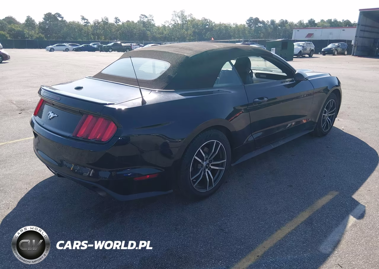 2016 Ford Mustang Ecoboost Premium VIN:1FATP8UH7G5275603 - 4
