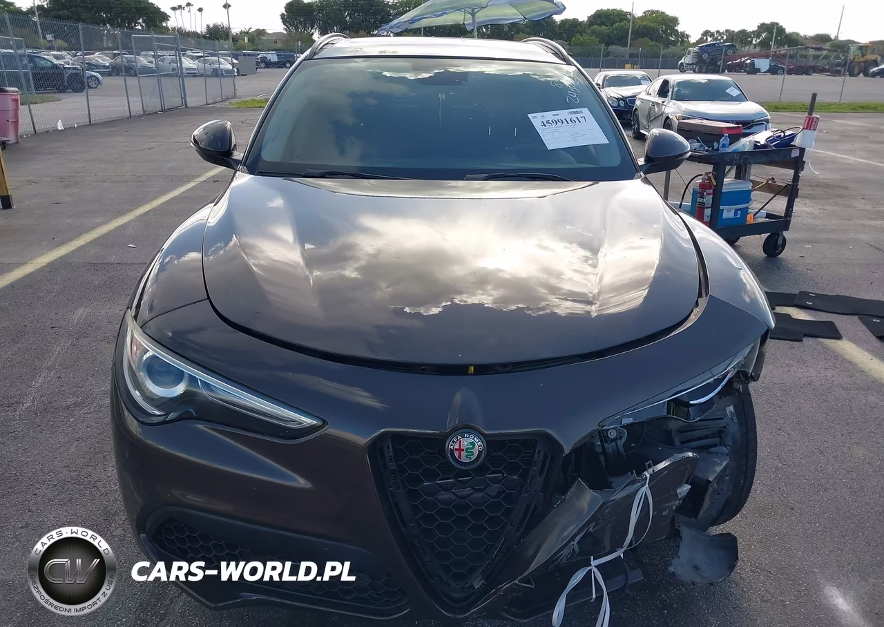 2018 Alfa Romeo Stelvio Sport Awd VIN:ZASFAKPN3J7B92499 - 12
