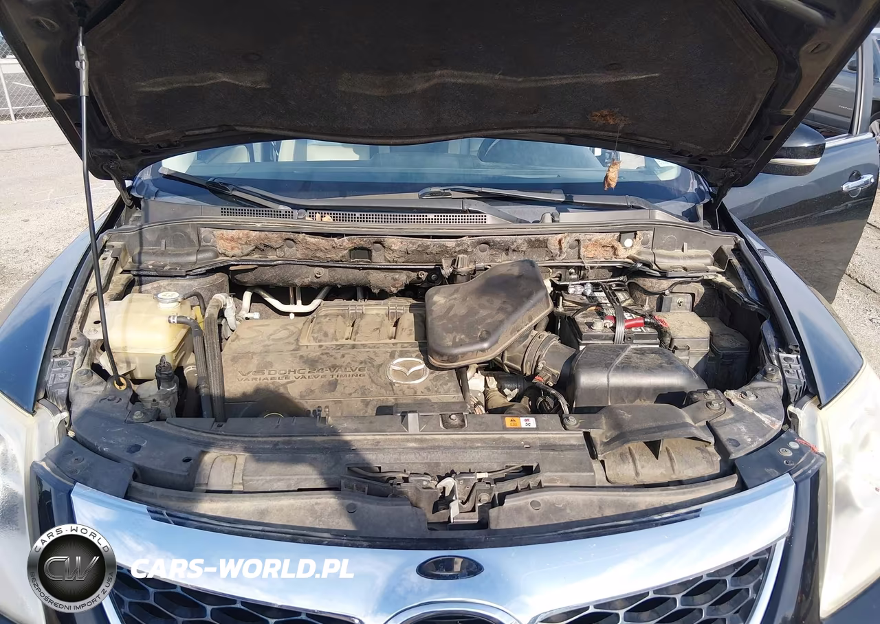 2010 Mazda Cx-9 Grand Touring VIN:JM3TB3MAXA0238474 - 10
