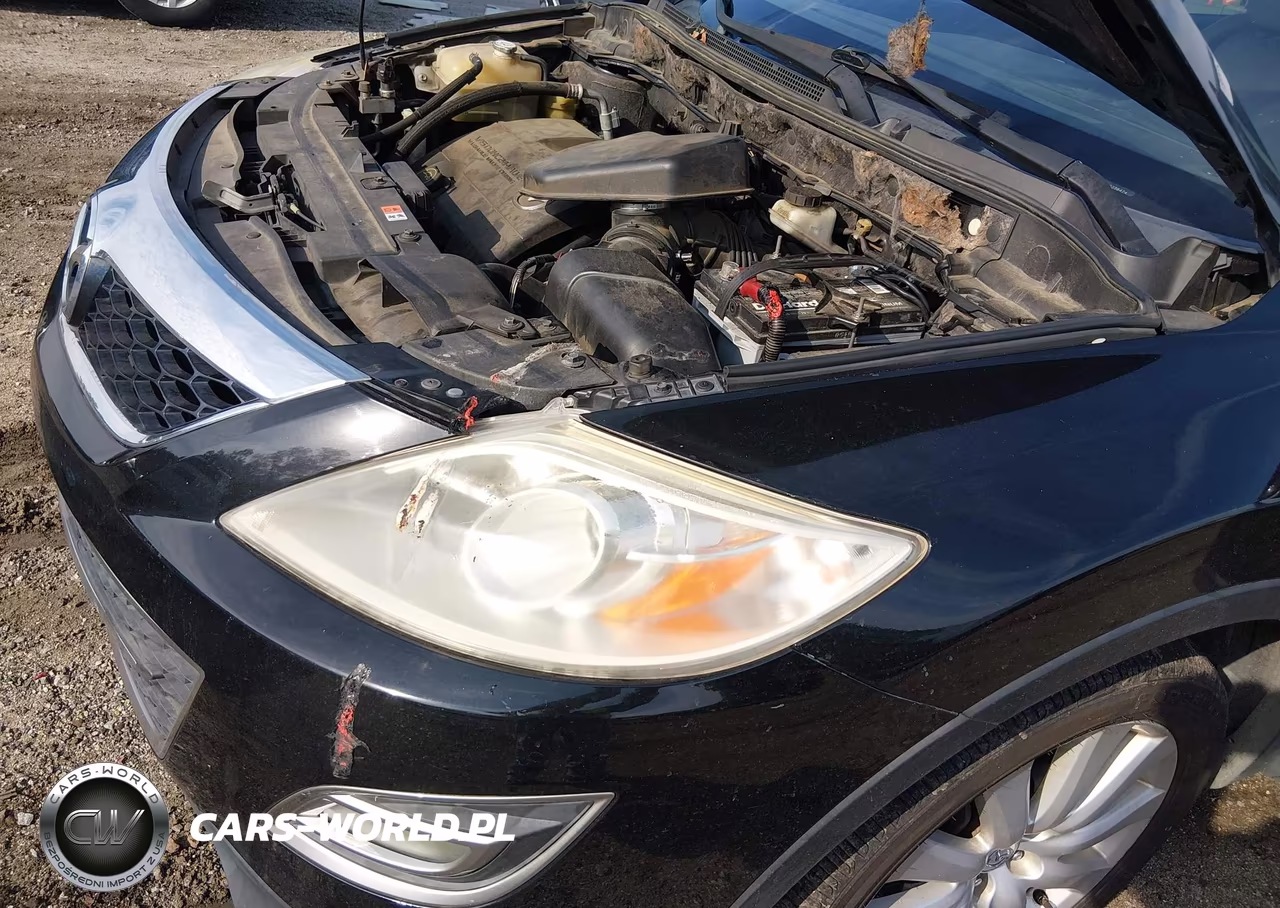 2010 Mazda Cx-9 Grand Touring VIN:JM3TB3MAXA0238474 - 6