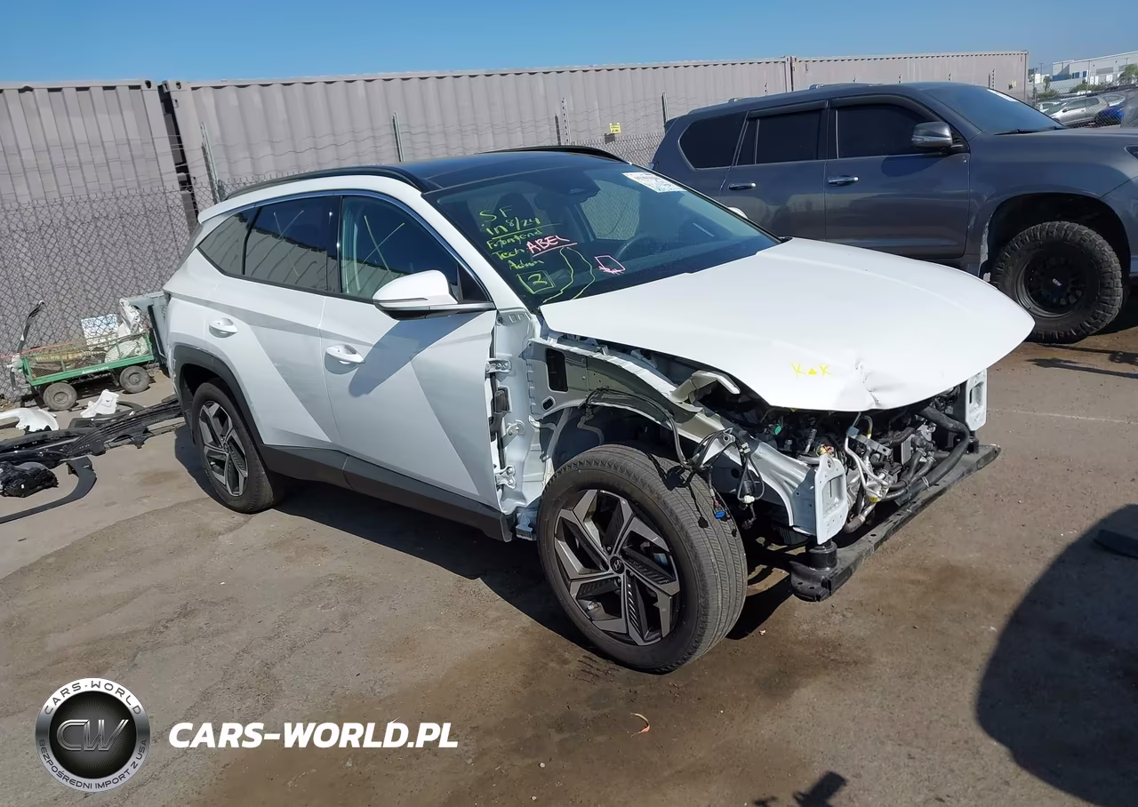 2022 Hyundai Tucson Limited VIN:5NMJECAE9NH135650 - 1