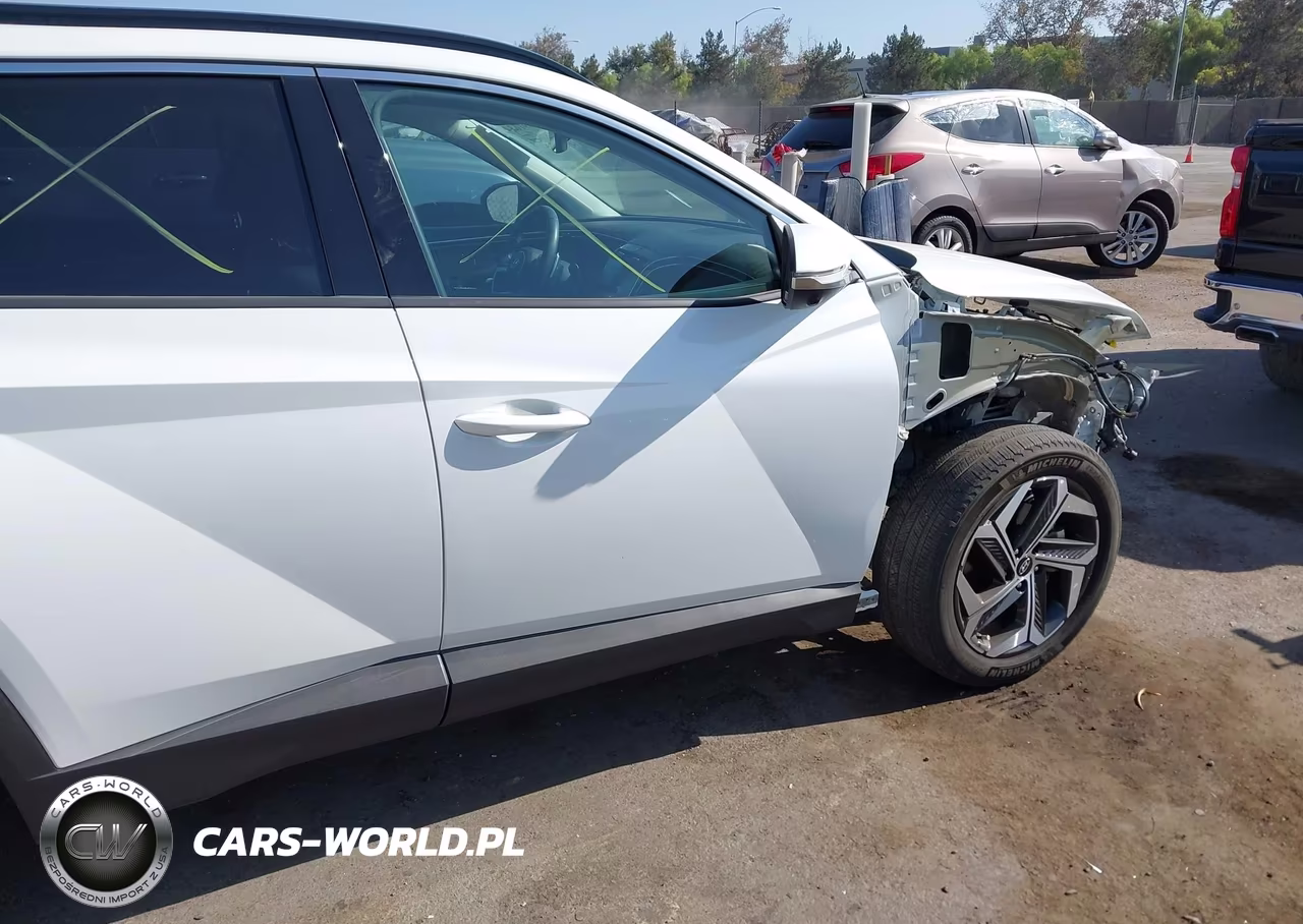 2022 Hyundai Tucson Limited VIN:5NMJECAE9NH135650 - 19