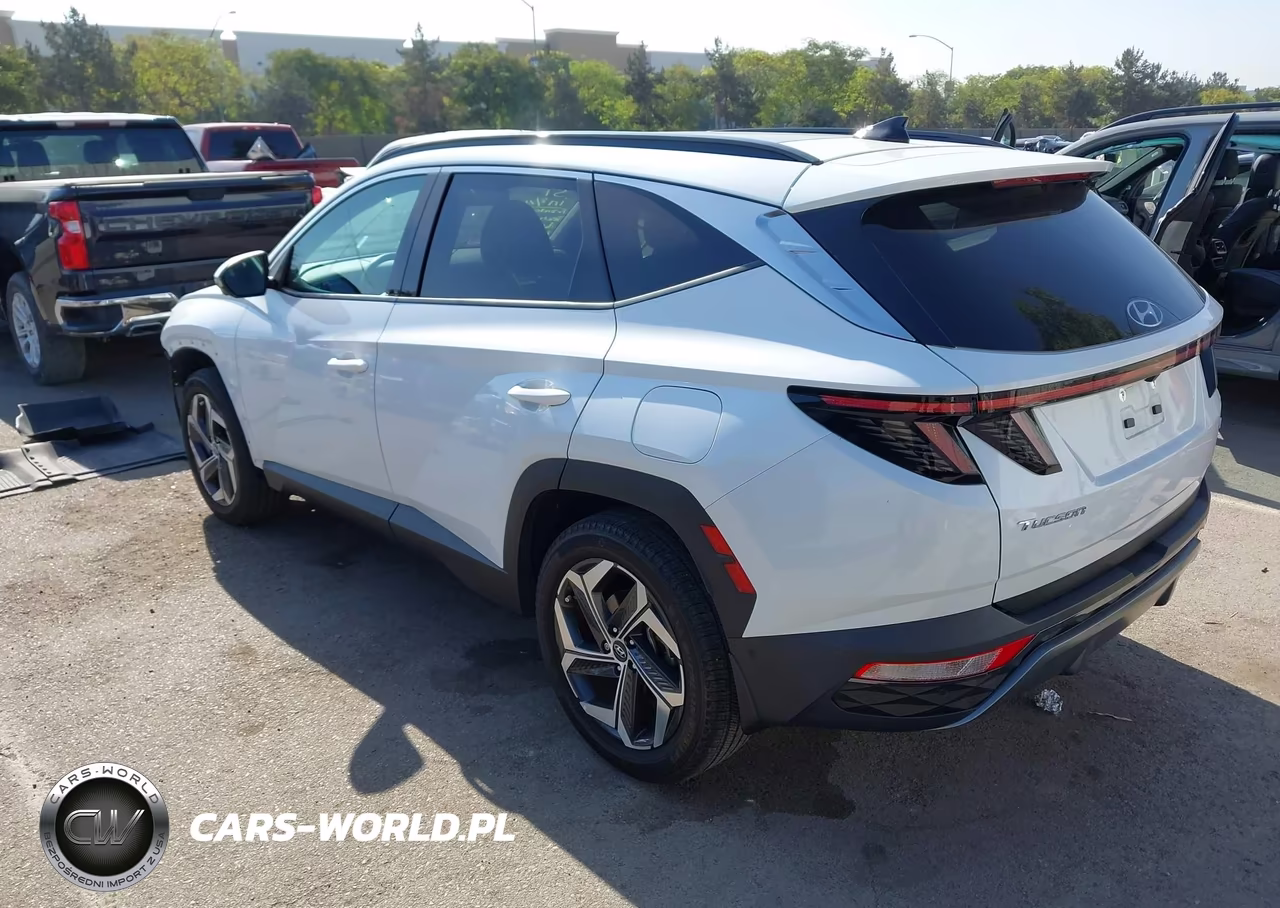 2022 Hyundai Tucson Limited VIN:5NMJECAE9NH135650 - 3