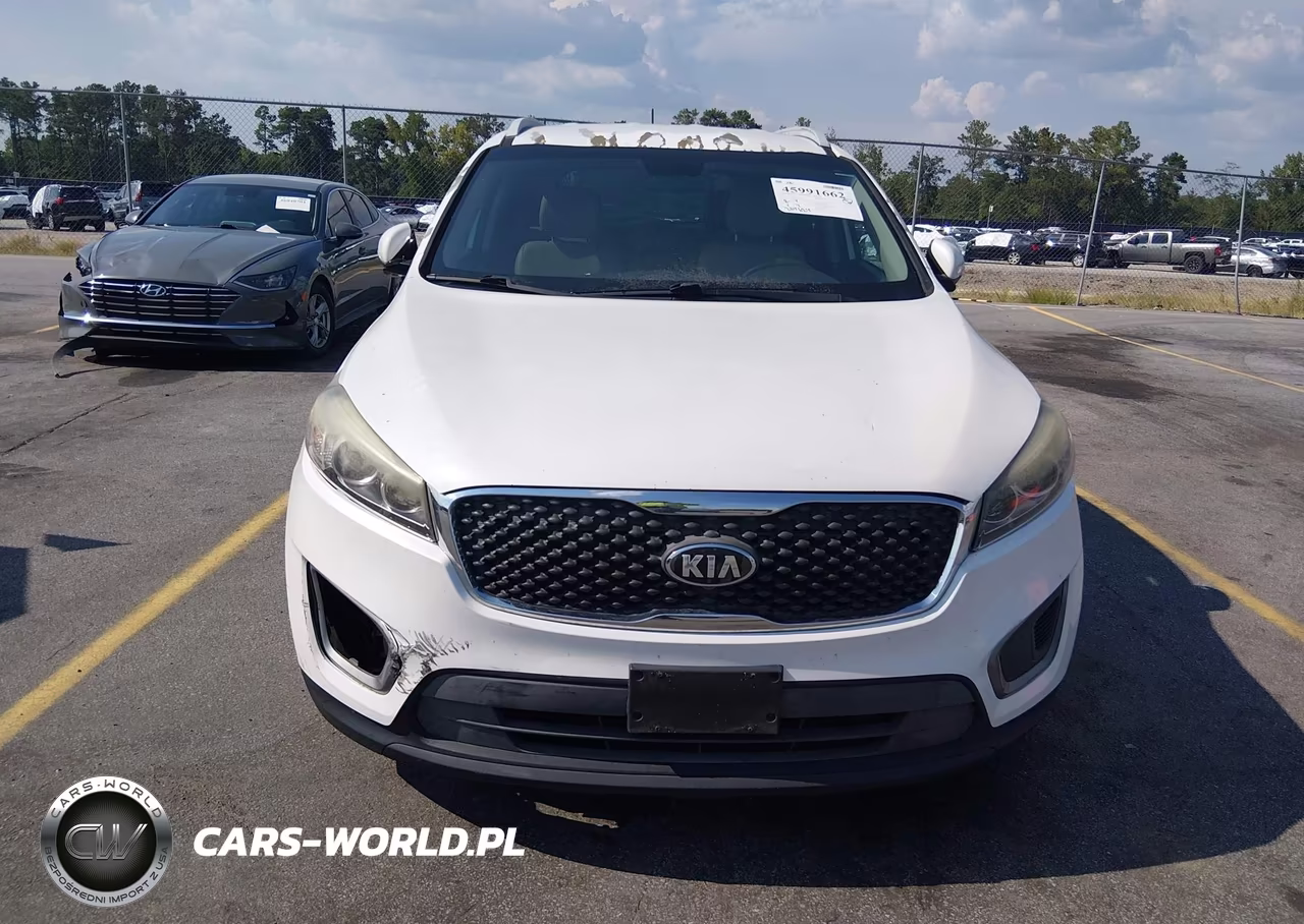 2016 Kia Sorento 2.4L Lx VIN:5XYPGDA36GG097445 - 12