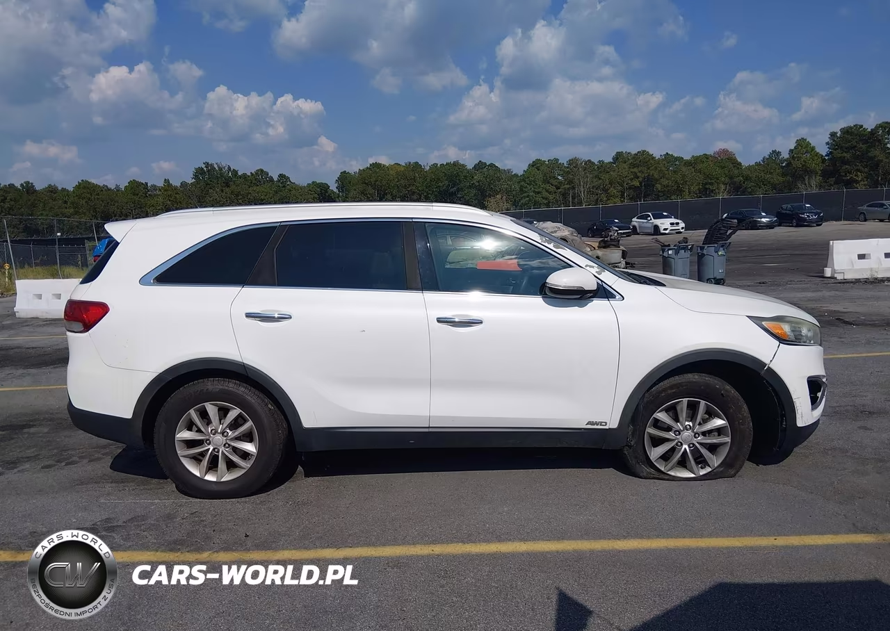 2016 Kia Sorento 2.4L Lx VIN:5XYPGDA36GG097445 - 13