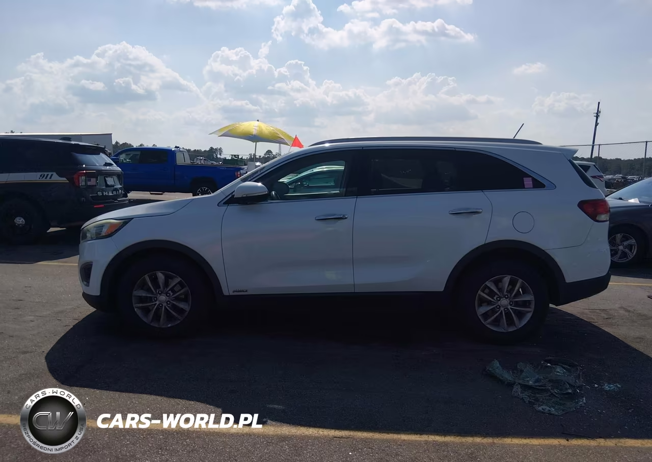2016 Kia Sorento 2.4L Lx VIN:5XYPGDA36GG097445 - 14