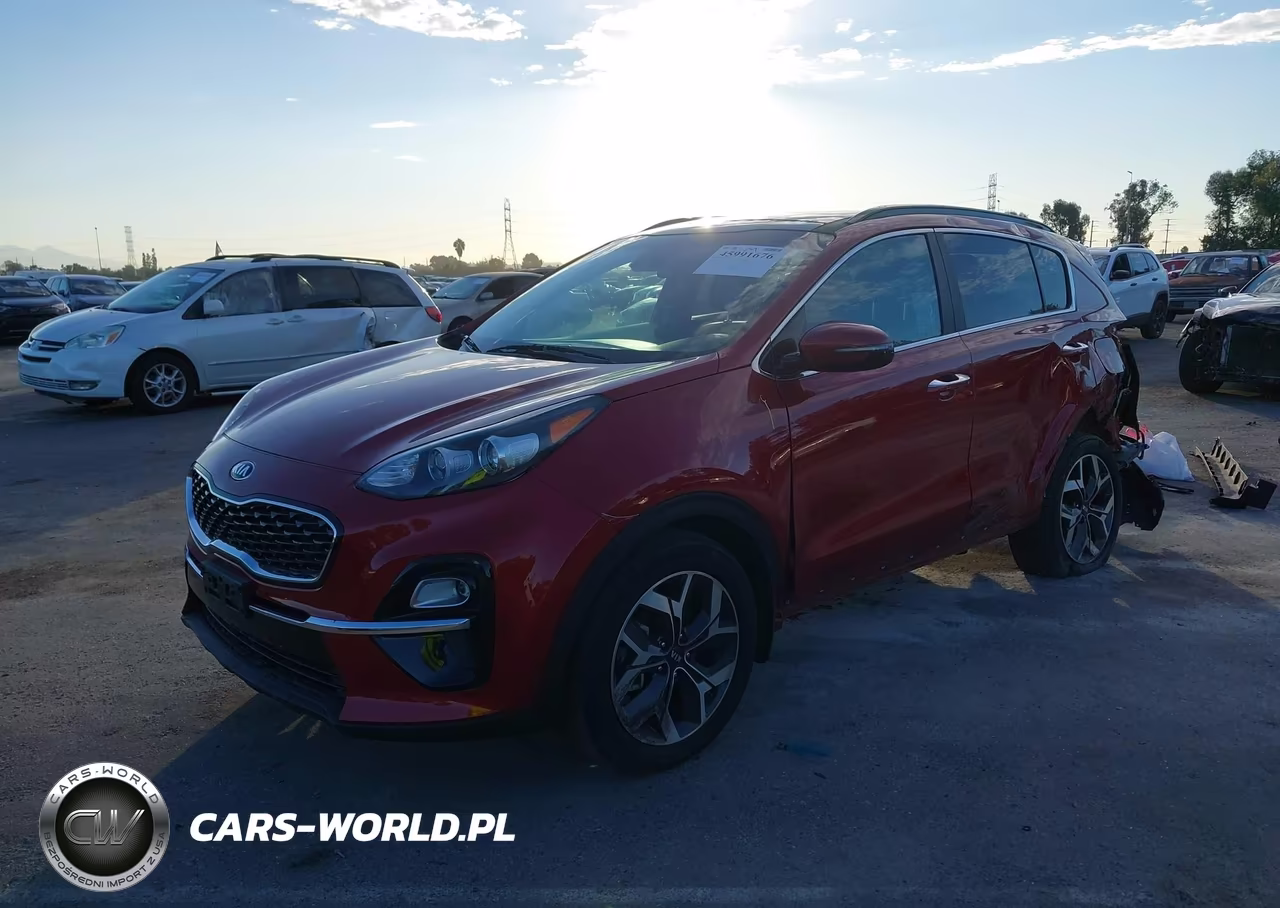 2022 Kia Sportage Ex VIN:KNDPN3AC0N7953266 - 2