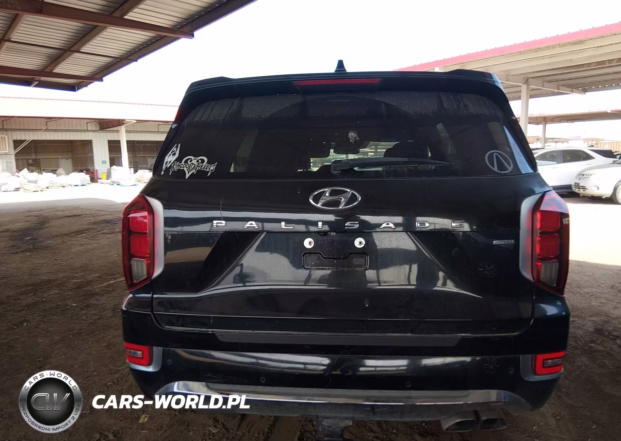 2020 Hyundai Palisade Limited VIN:KM8R5DHE6LU171571 - 17