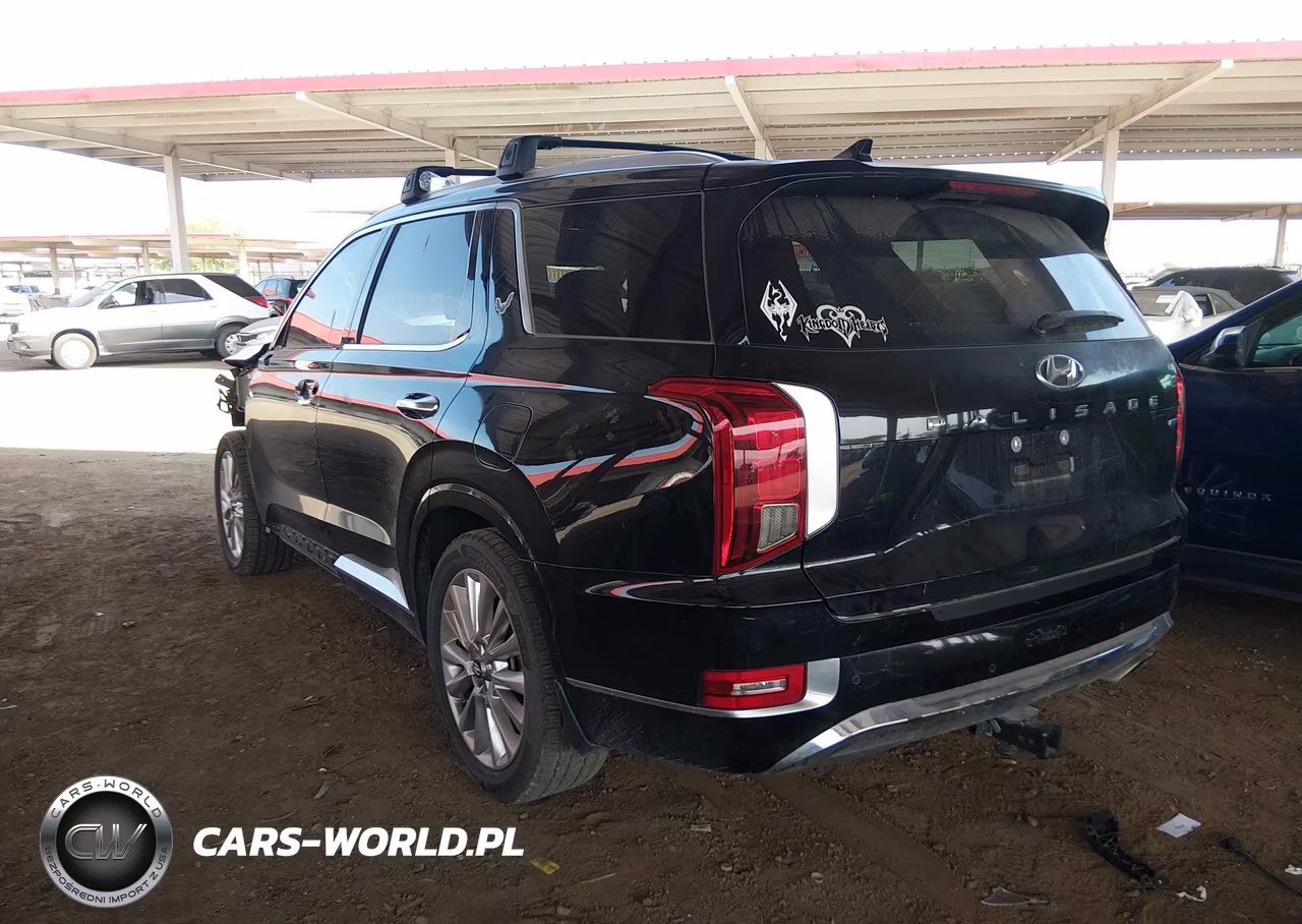 2020 Hyundai Palisade Limited VIN:KM8R5DHE6LU171571 - 3