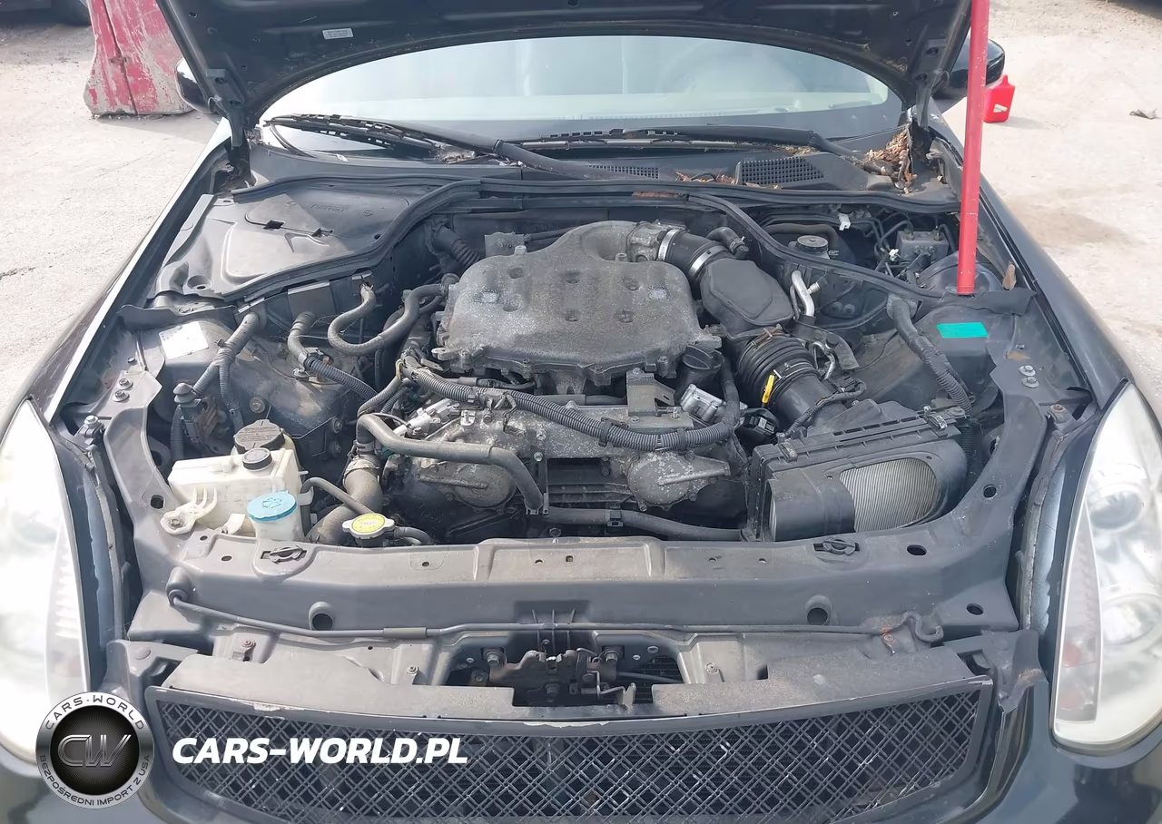 2004 Infiniti G35 VIN:JNKCV54E64M306232 - 10