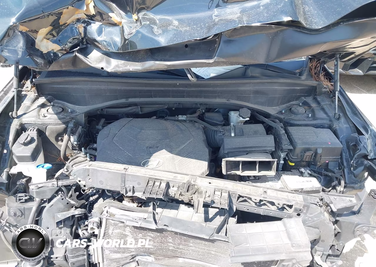 2021 Hyundai Palisade Limited VIN:KM8R54HE6MU216140 - 10