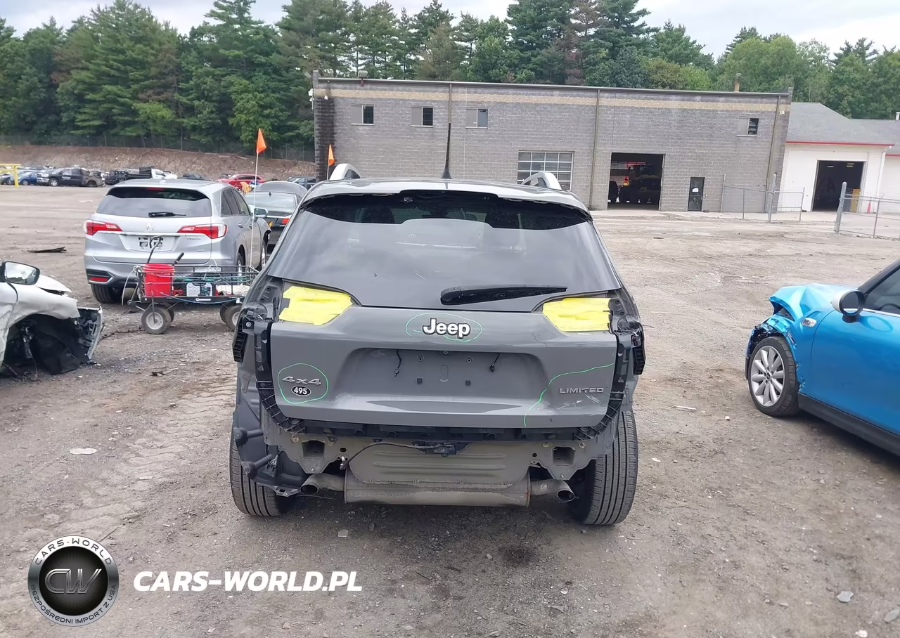 2019 Jeep Cherokee Limited 4X4 VIN:1C4PJMDXXKD351181 - 17
