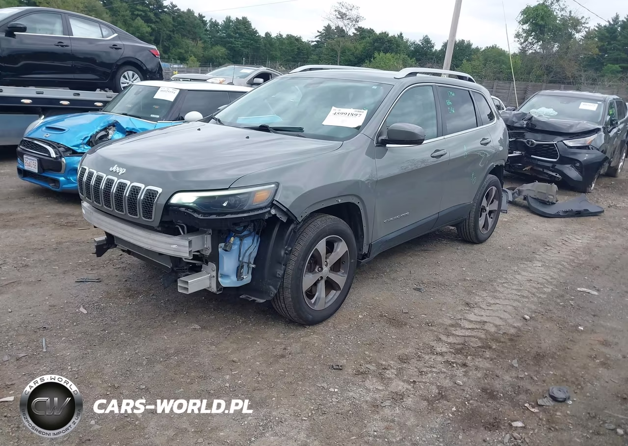 2019 Jeep Cherokee Limited 4X4 VIN:1C4PJMDXXKD351181 - 2