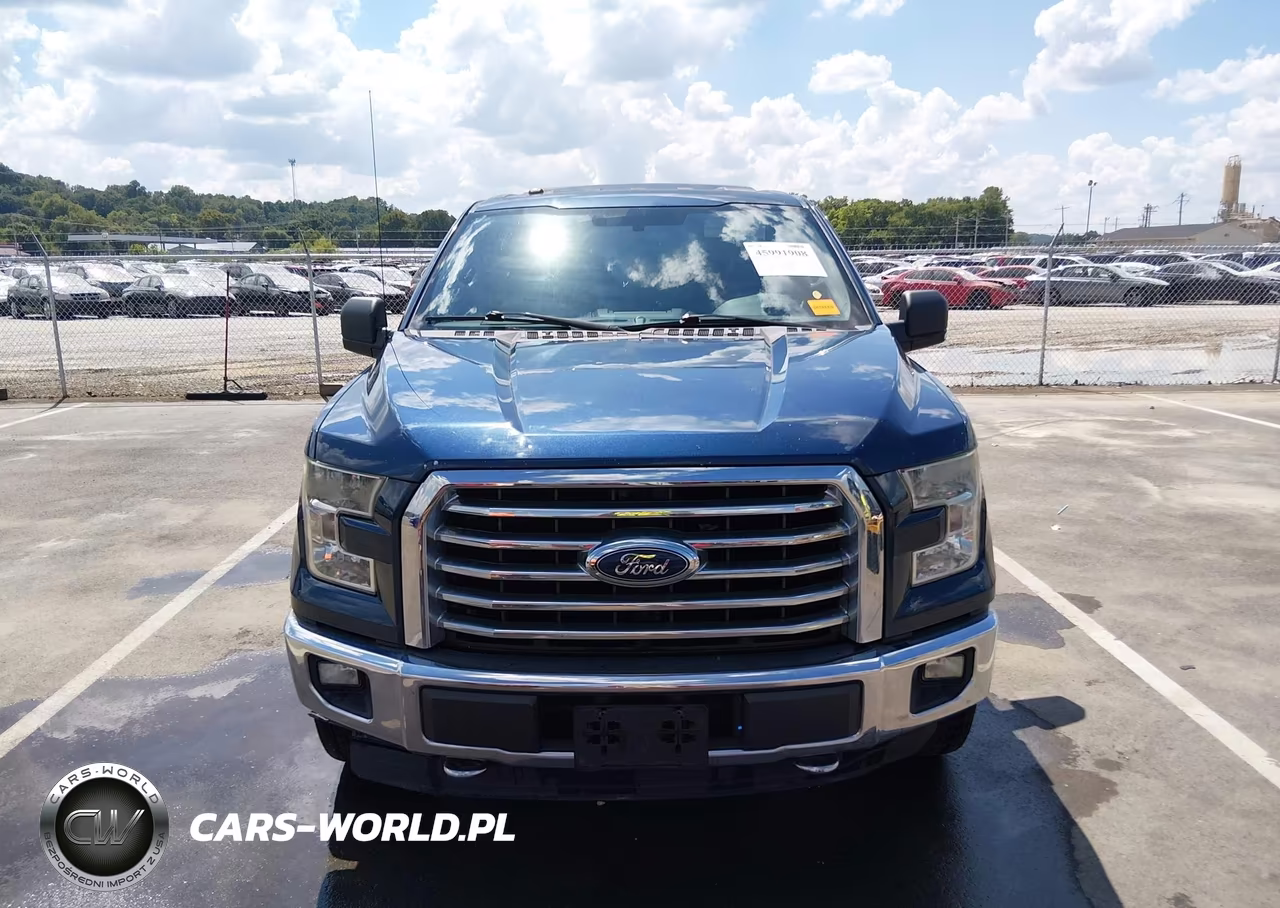 2016 Ford F-150 Xlt VIN:1FTEX1EP1GKE02296 - 12