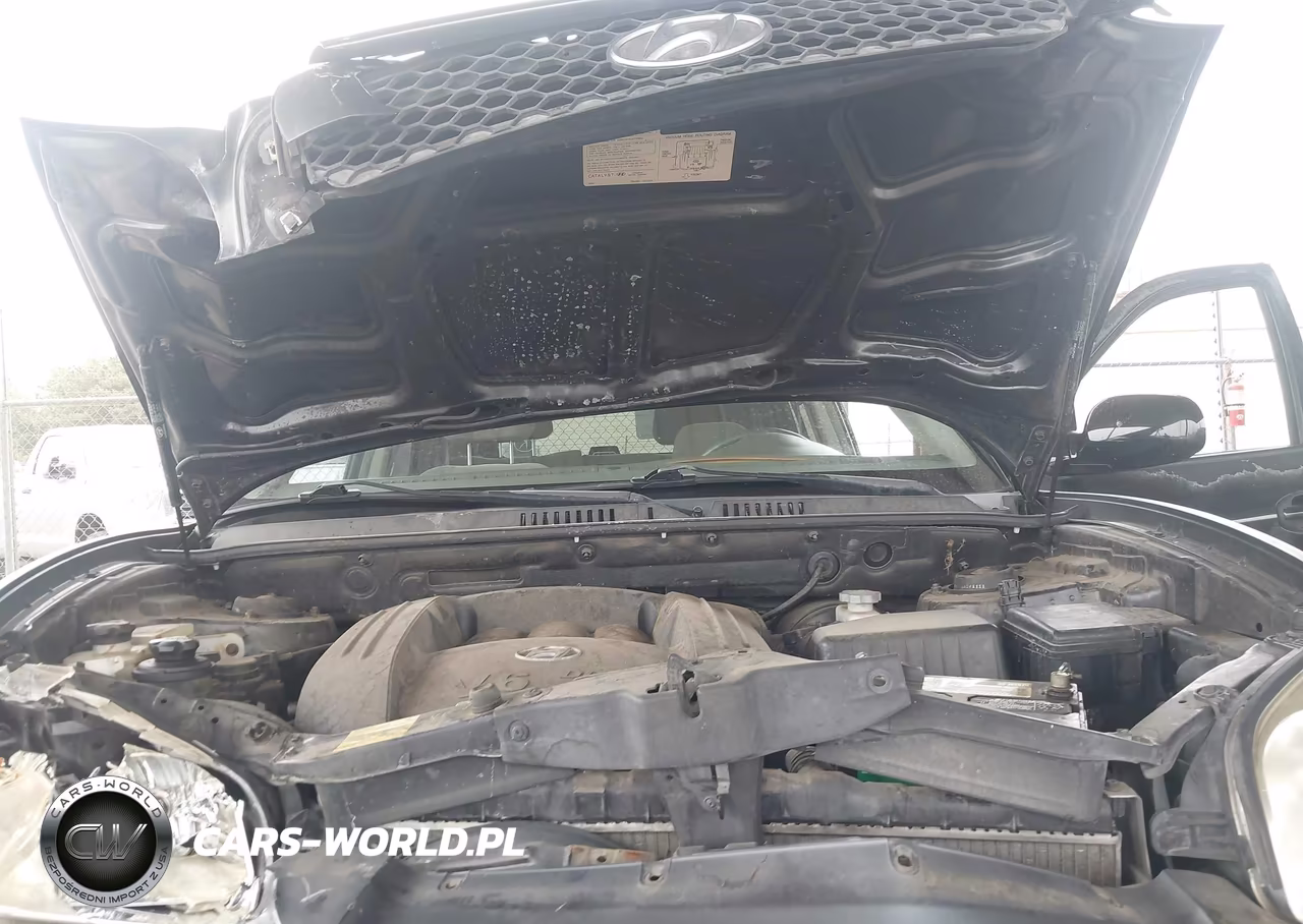 2004 Hyundai Santa Fe Gls VIN:KM8SC13D64U839620 - 10