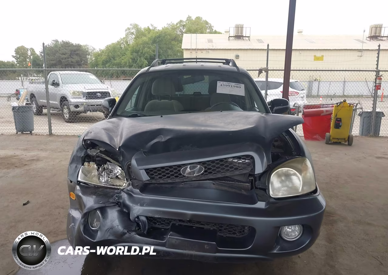 2004 Hyundai Santa Fe Gls VIN:KM8SC13D64U839620 - 12