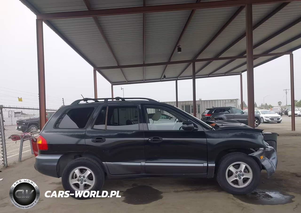2004 Hyundai Santa Fe Gls VIN:KM8SC13D64U839620 - 13