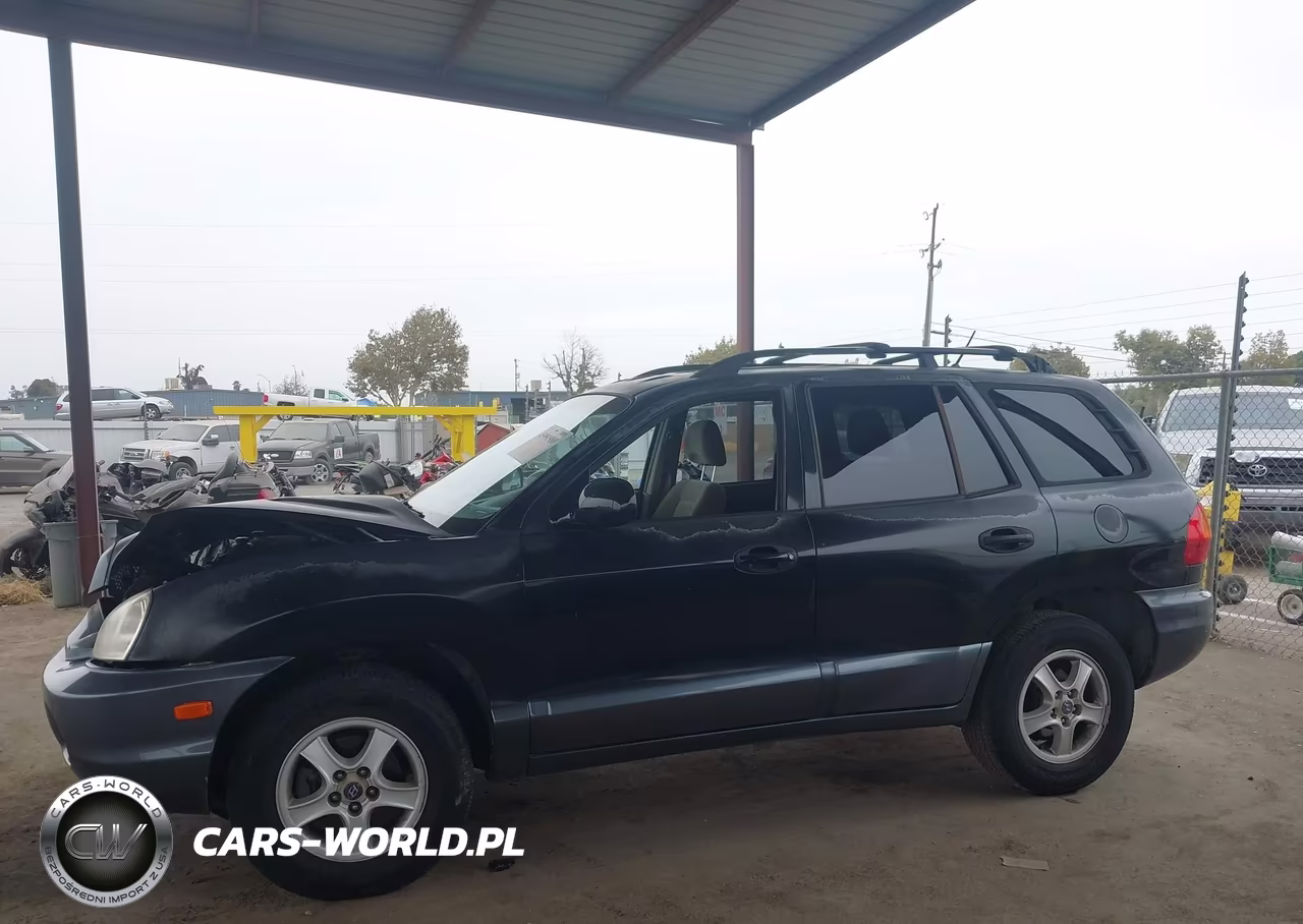 2004 Hyundai Santa Fe Gls VIN:KM8SC13D64U839620 - 14
