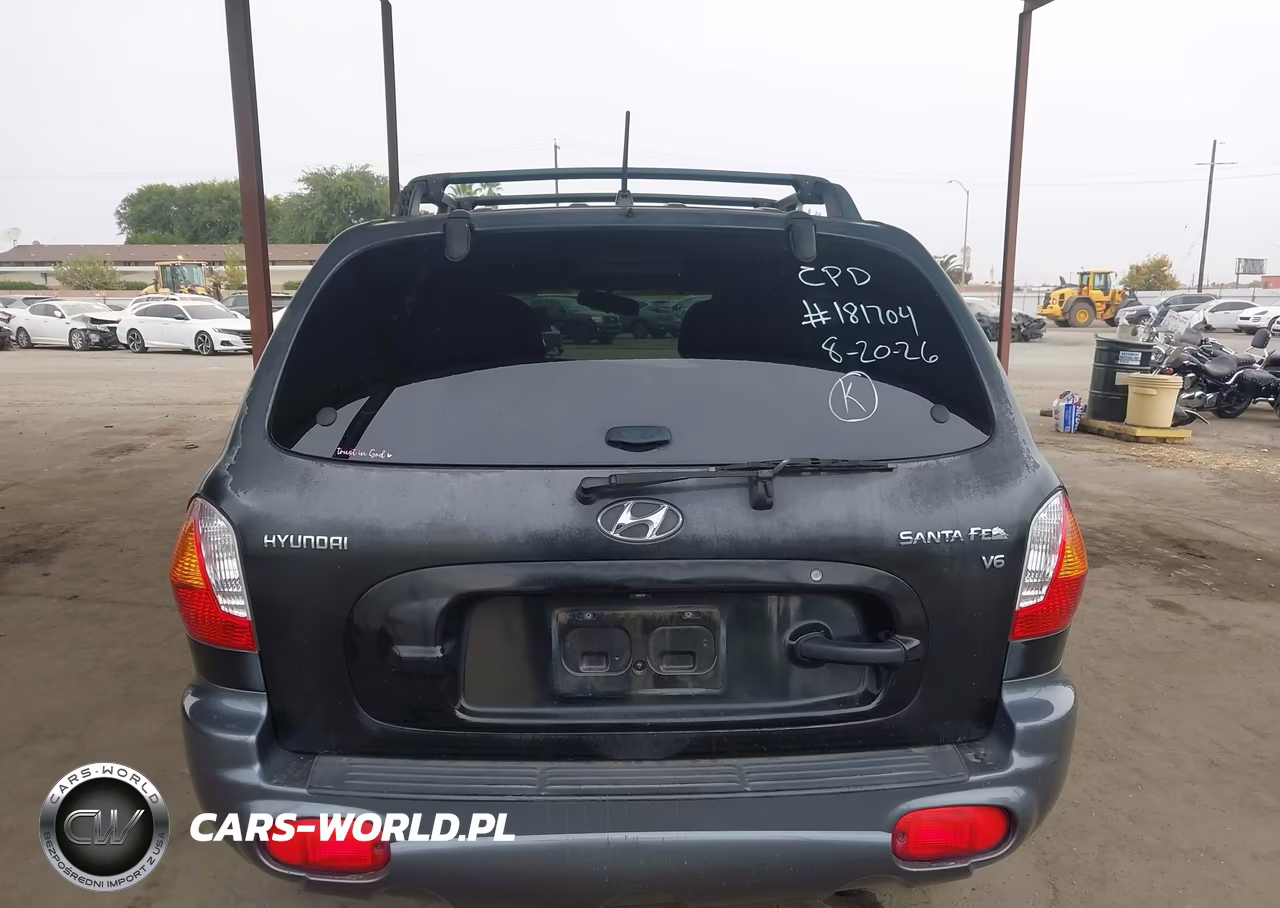 2004 Hyundai Santa Fe Gls VIN:KM8SC13D64U839620 - 16