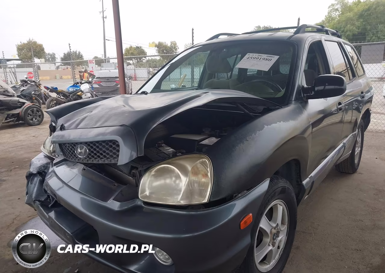 2004 Hyundai Santa Fe Gls VIN:KM8SC13D64U839620 - 2
