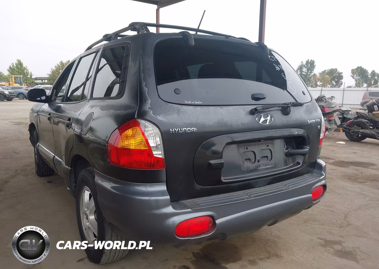 2004 Hyundai Santa Fe Gls VIN:KM8SC13D64U839620 - 3
