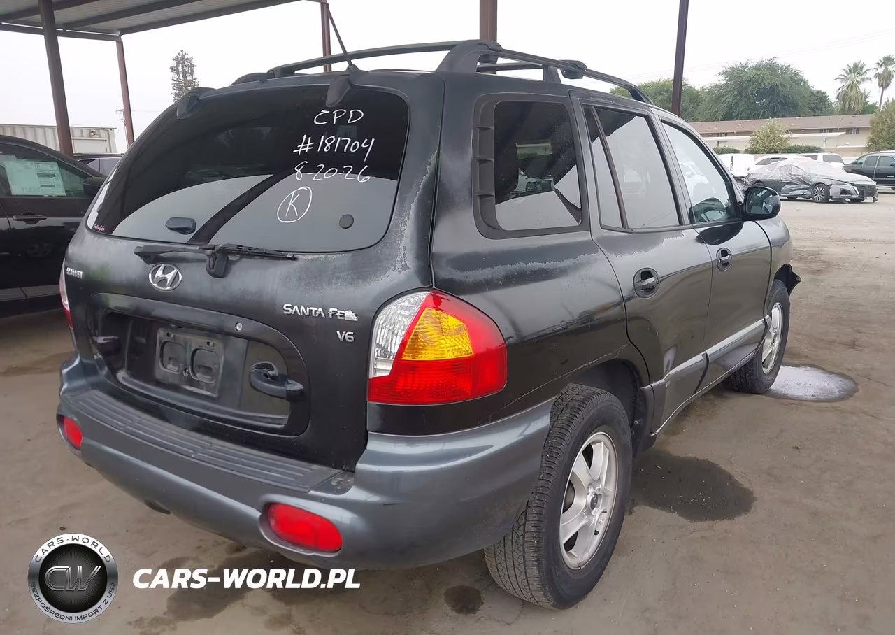 2004 Hyundai Santa Fe Gls VIN:KM8SC13D64U839620 - 4