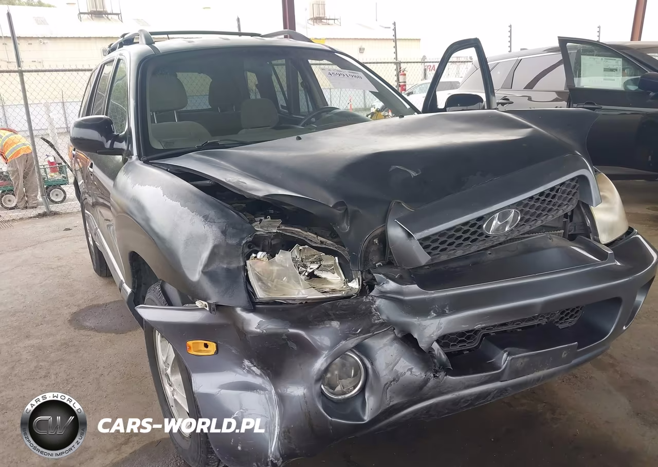 2004 Hyundai Santa Fe Gls VIN:KM8SC13D64U839620 - 6