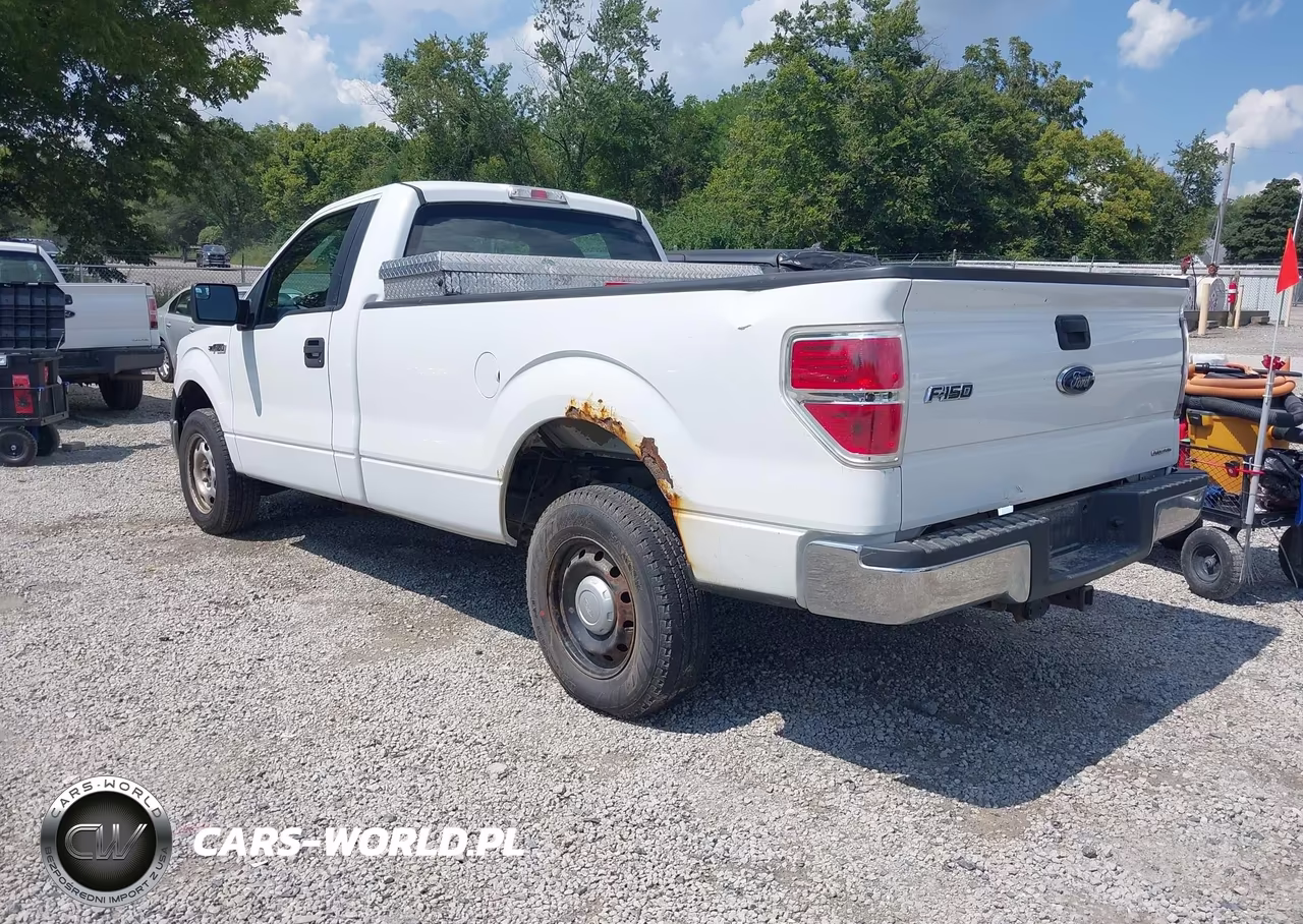 2013 Ford F-150 Xl VIN:1FTMF1CM6DKD93923 - 3