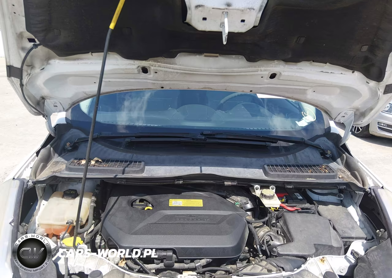 2014 Ford Escape Se VIN:1FMCU0GX8EUC37111 - 10