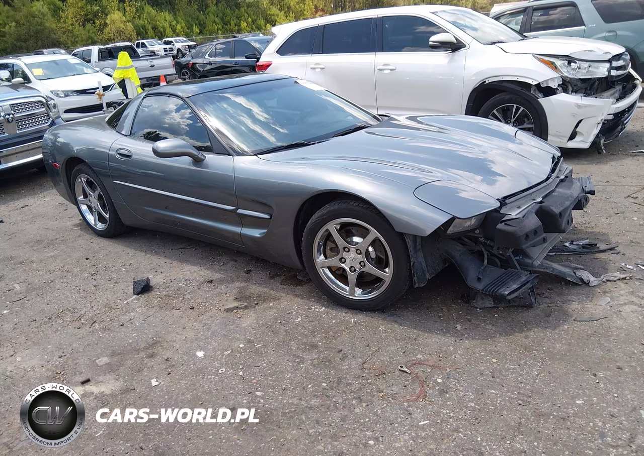2004 Chevrolet Corvette VIN:1G1YY22G845101760 - 1