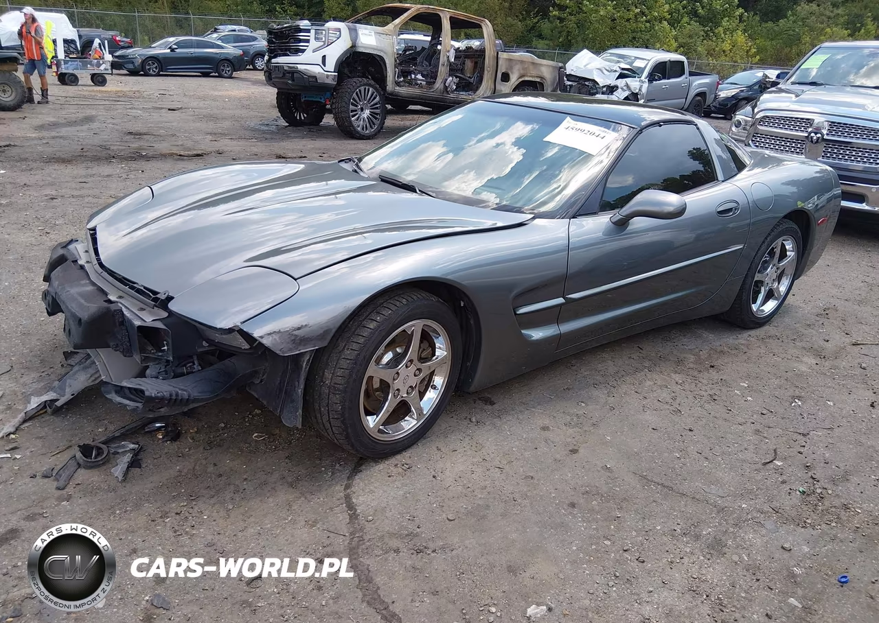 2004 Chevrolet Corvette VIN:1G1YY22G845101760 - 2
