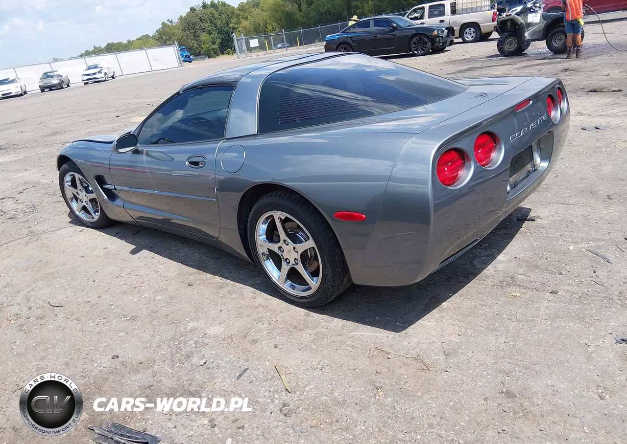 2004 Chevrolet Corvette VIN:1G1YY22G845101760 - 3