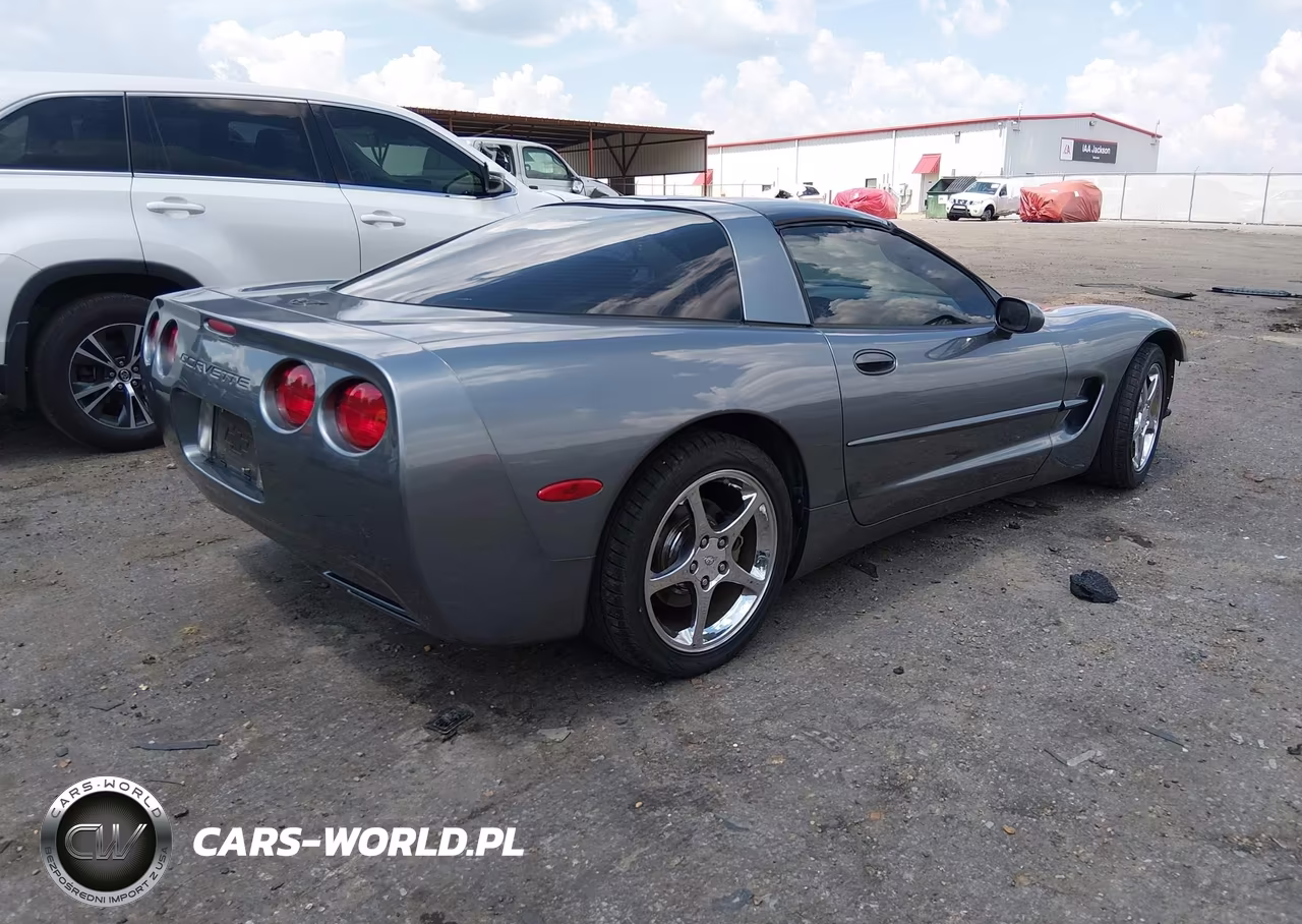 2004 Chevrolet Corvette VIN:1G1YY22G845101760 - 4