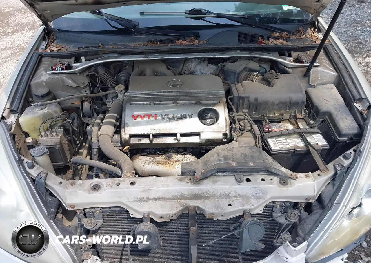 2003 Lexus Es 300 VIN:JTHBF30G135039143 - 10