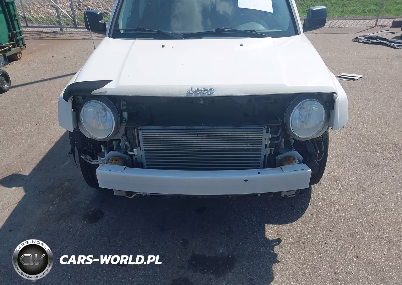 2009 Jeep Patriot Sport VIN:1J4FF28B49D229260 - 13