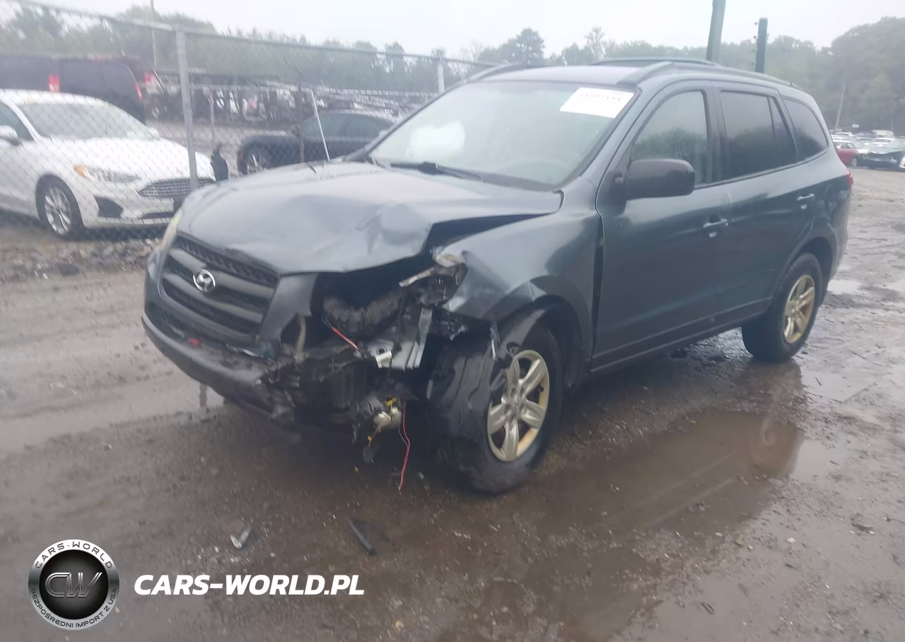 2009 Hyundai Santa Fe Gls VIN:5NMSG73D49H319894 - 2