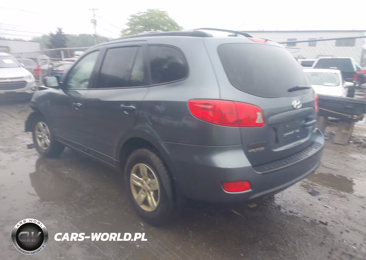 2009 Hyundai Santa Fe Gls VIN:5NMSG73D49H319894 - 3