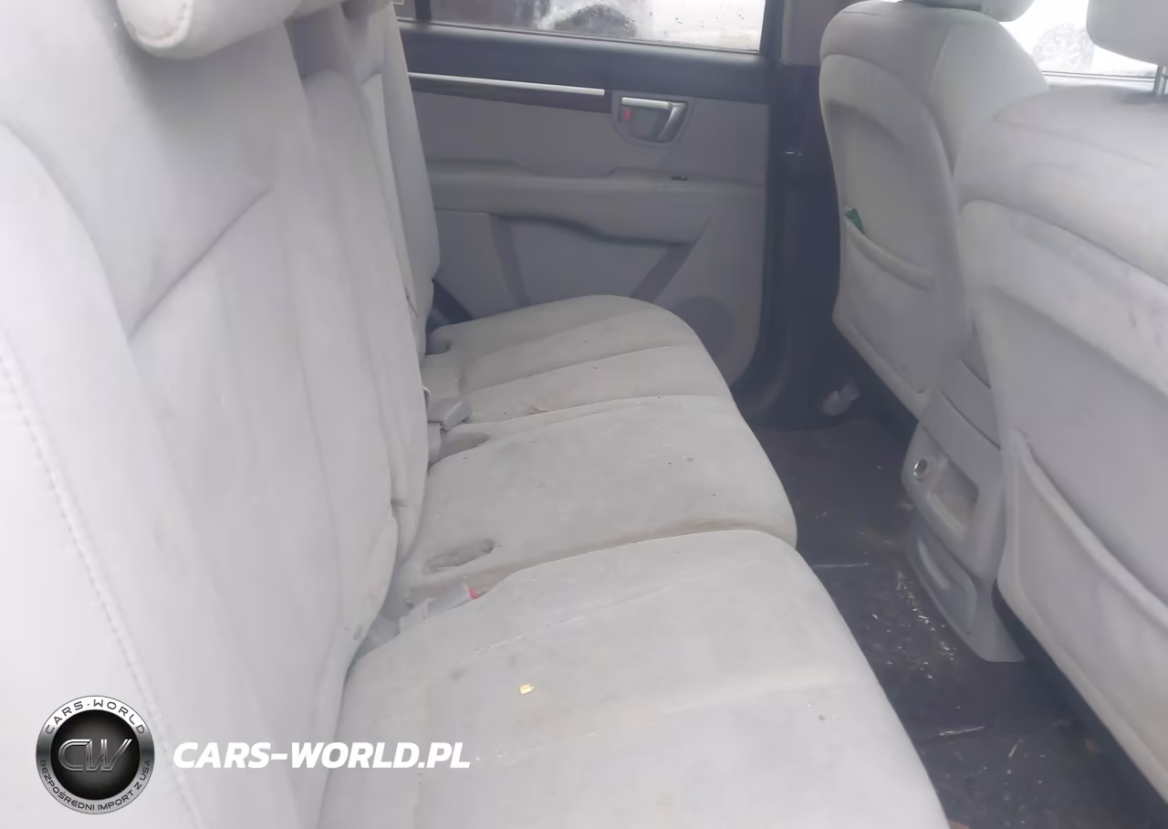 2009 Hyundai Santa Fe Gls VIN:5NMSG73D49H319894 - 8