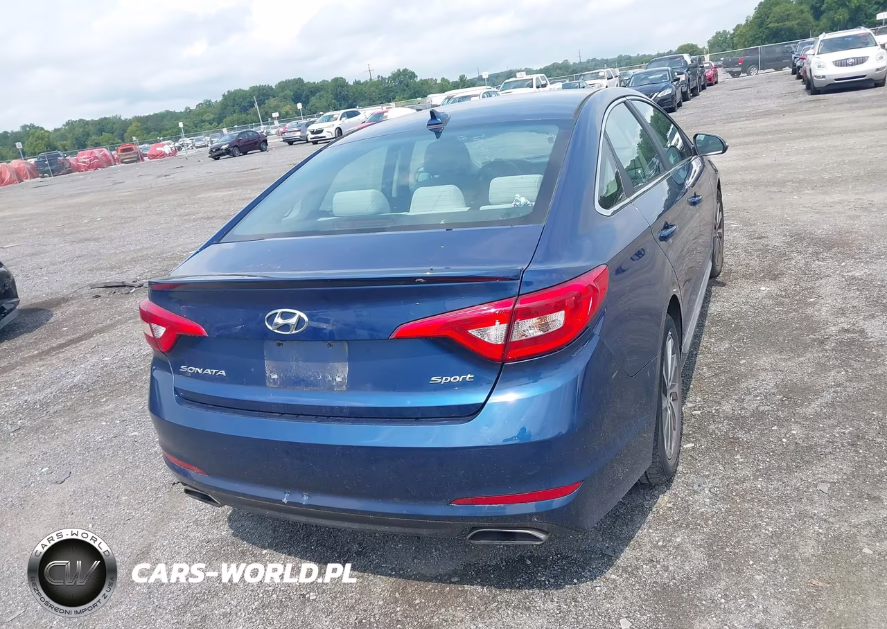 2016 Hyundai Sonata Sport VIN:5NPE34AF8GH300163 - 16