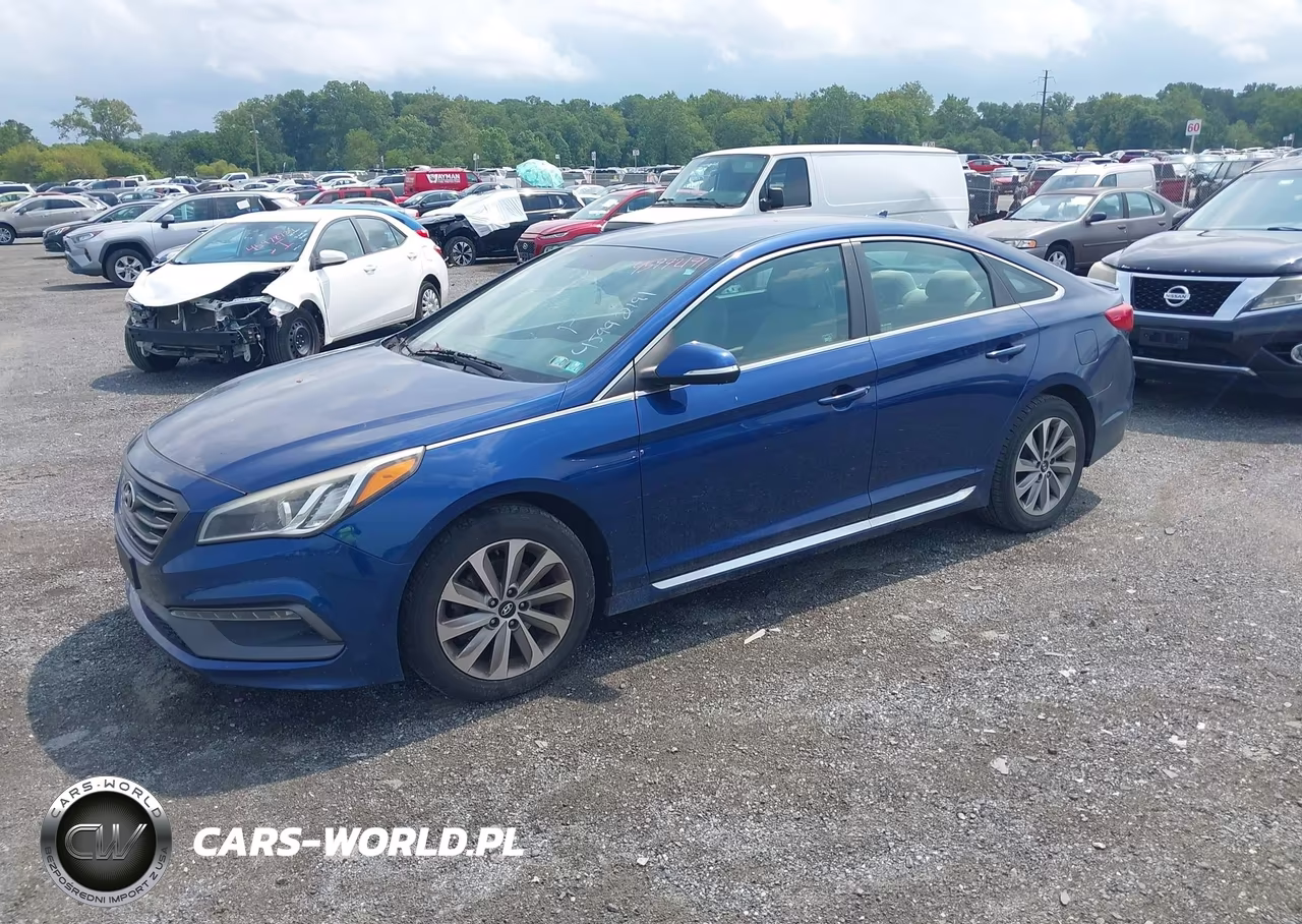 2016 Hyundai Sonata Sport VIN:5NPE34AF8GH300163 - 2