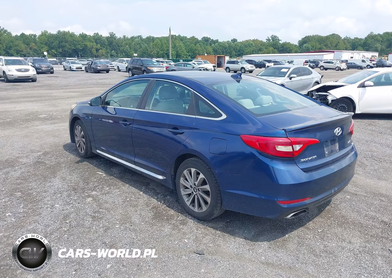 2016 Hyundai Sonata Sport VIN:5NPE34AF8GH300163 - 3