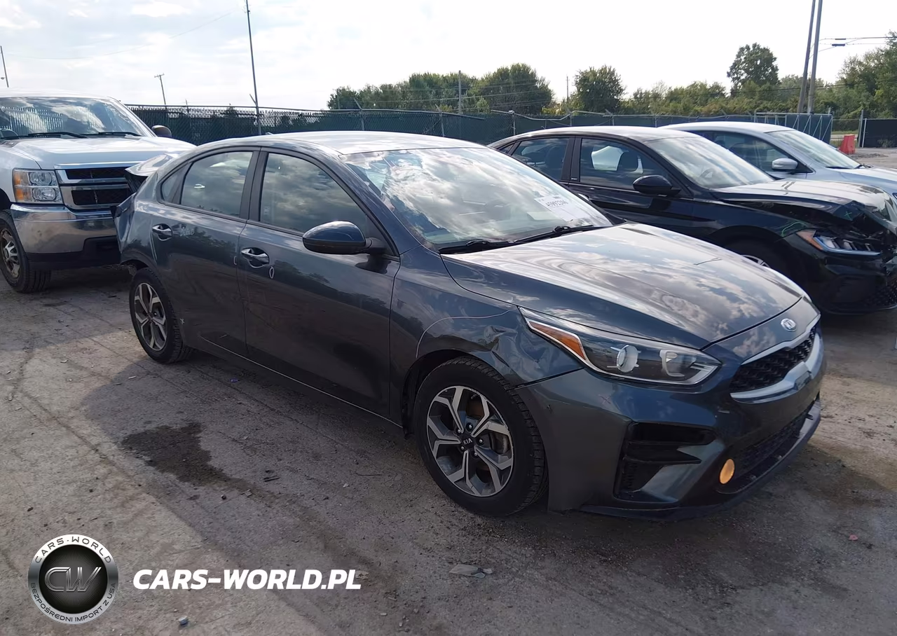 2019 Kia Forte Lxs